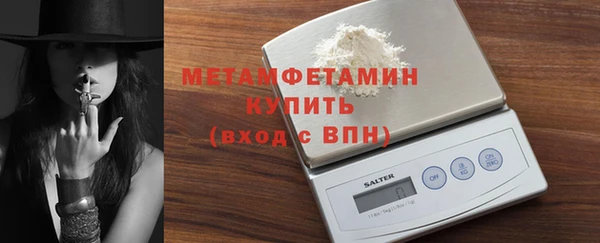 прущие грибы Вяземский