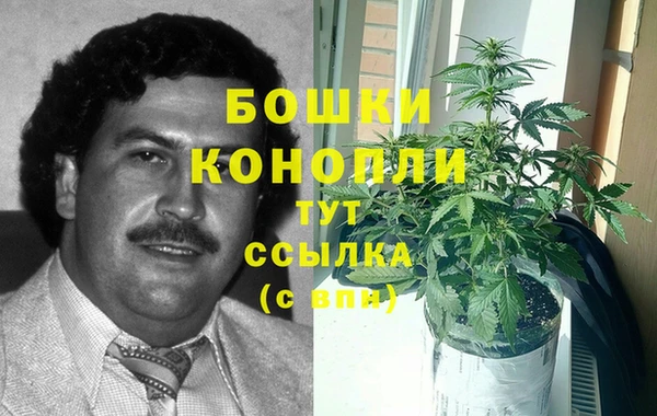 ALPHA-PVP Алексеевка