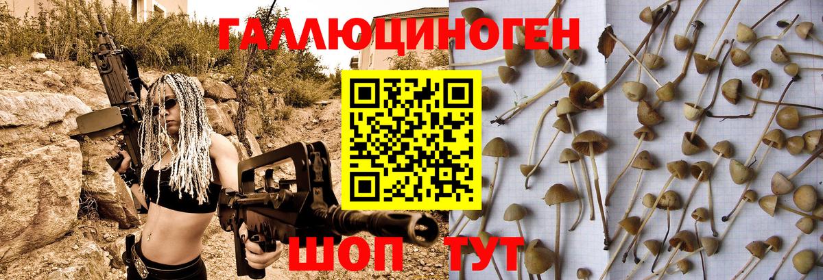 Галлюциногенные грибы мухоморы  Беслан 