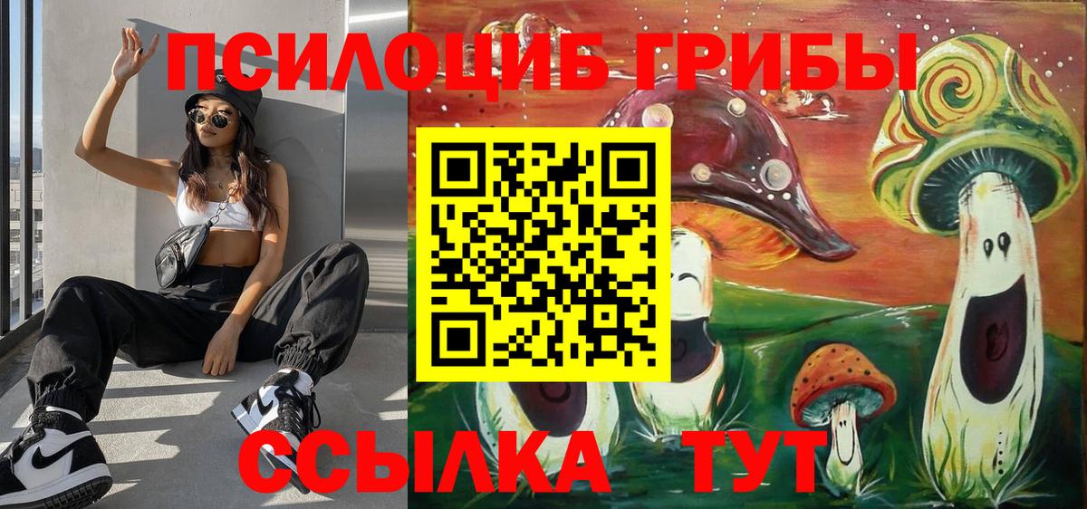 Псилоцибиновые грибы Psilocybe Беслан